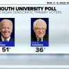 Biden leads Sanders in new Michigan poll
